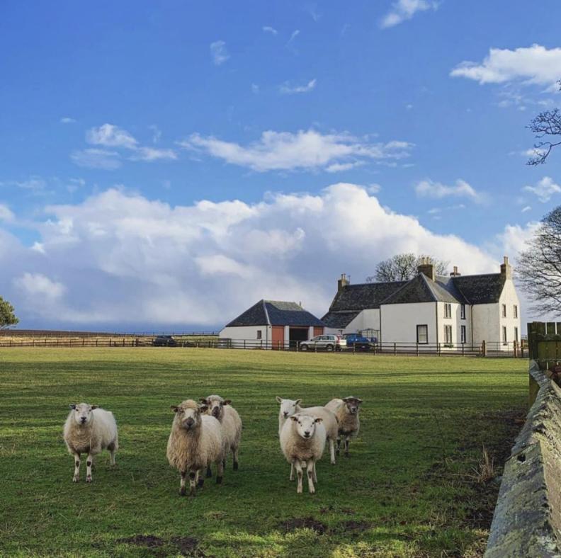 Tarrel Farmhouse Portmahomack Екстериор снимка